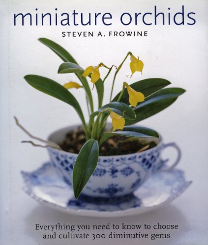 Miniature Orchids