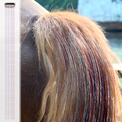 Juexica 18 Pcs Horse Accessory Clip in Hair Extensions for Mane and Tail Tack Horse Stuff Pony Hair Tinsel for Real Horses Western Bride Horse Lover and Girls Birthday (Multicolor)