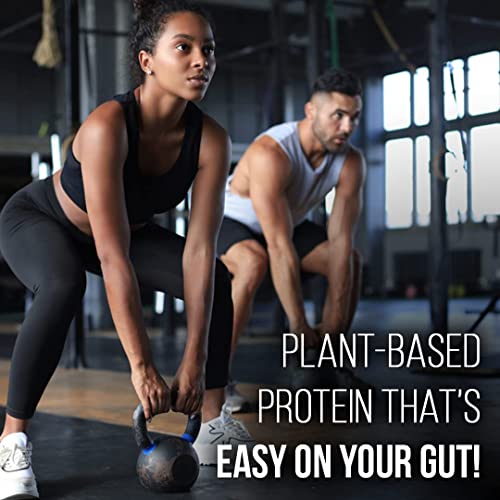 Image of Pure Nutrition Plant Protein for Men & Women - Chocolate, 1Kg with 650ml Shaker | Pea & Brown Rice Protein with Omega-3, BCAA & Enzymes | Vegan, Plant-Based, Muscle Support Supplement