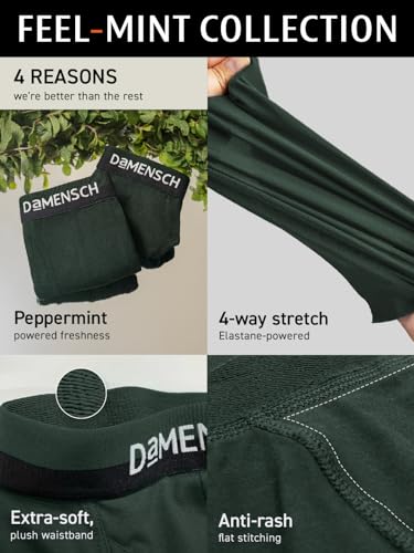 DAMENSCH Mens Regular Fit Premium Cotton Blend Boxer Brief | Innerwear ...