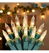 ooLALoo 2Pack 50-Count Warm White Christmas Lights, 13FT Incandescent Mini String Lights Green Wi...