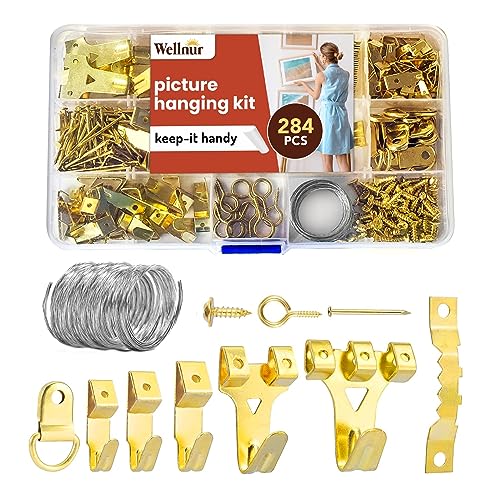 Wellnur 284pcs Picture Hooks | Heavy Duty Picture Hanging Kit | Rustproof Assorted Picture Hangers 62 Hooks 30 Sawtooth D-Rings Wire Nails & Screws for Mirrors Frames & Paintings