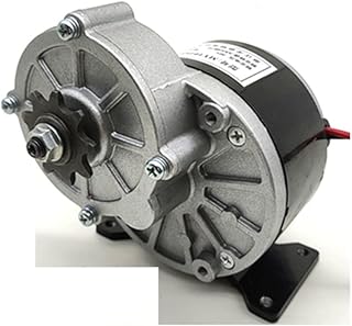 Permanent Magnet DC Deceleration Brush Motor 250W, 350W, 12V, 24V, 36V, Electric Vehicle Pulley, Gear - (Speed(RPM): 350W 24V/ Voltage(V): Gear)