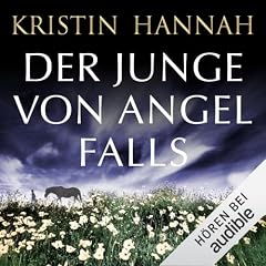 Der Junge von Angel Falls Titelbild