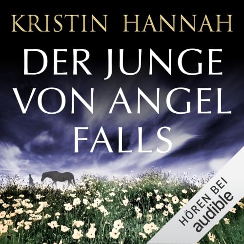 Der Junge von Angel Falls Titelbild