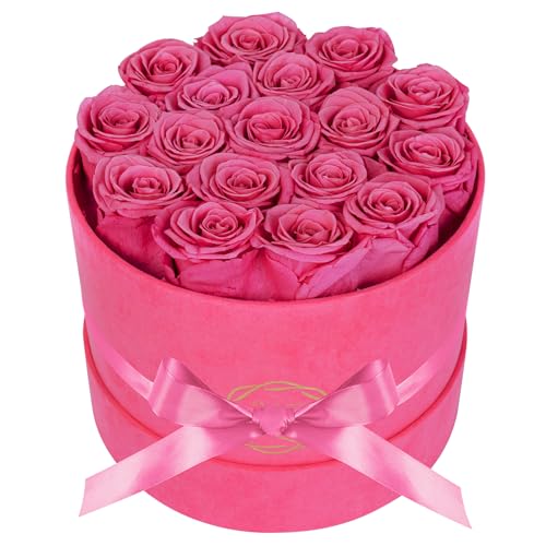 17 Flowers in a Velvet Pink Box, Birthday Gifts for Women, Preserved Flowers, Mothers Day Roses Gift for Mom, Pink