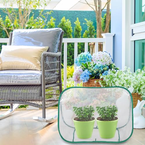 Mini serre pliable en PVC triangulaire pour plantes succulentes