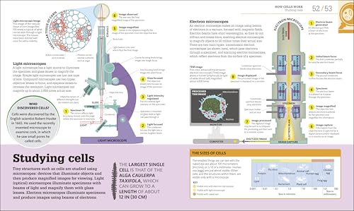 How Biology Works