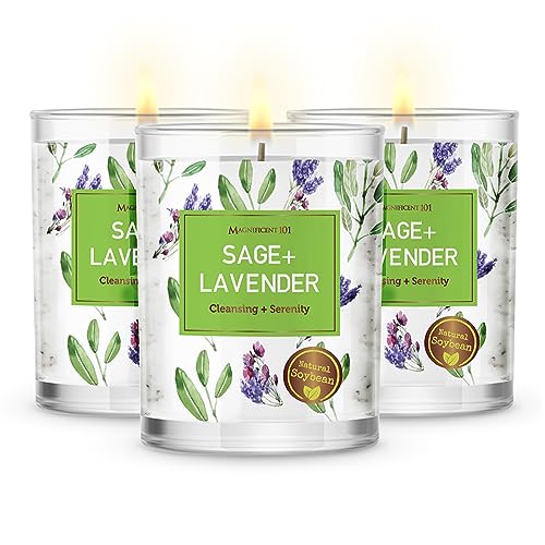 Magnificent 101 -Set mit 3 langlebigen reinen Salbei- und Lavendelkerzen – jeweils 95 ml – 42 Stunden Brenndauer | Ganz natürliche, organische, erdöl- und paraffinfreie natürliche Sojawachskerzen