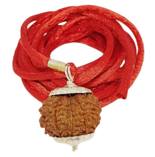 Das Mukhi Rudraksha Locket With Silver Caping 10 मुखी रुद्राक्ष Ten Face Rudraksha Original Pure 10 Mukhi Rudraksh Lab Certified For Puja-image-22