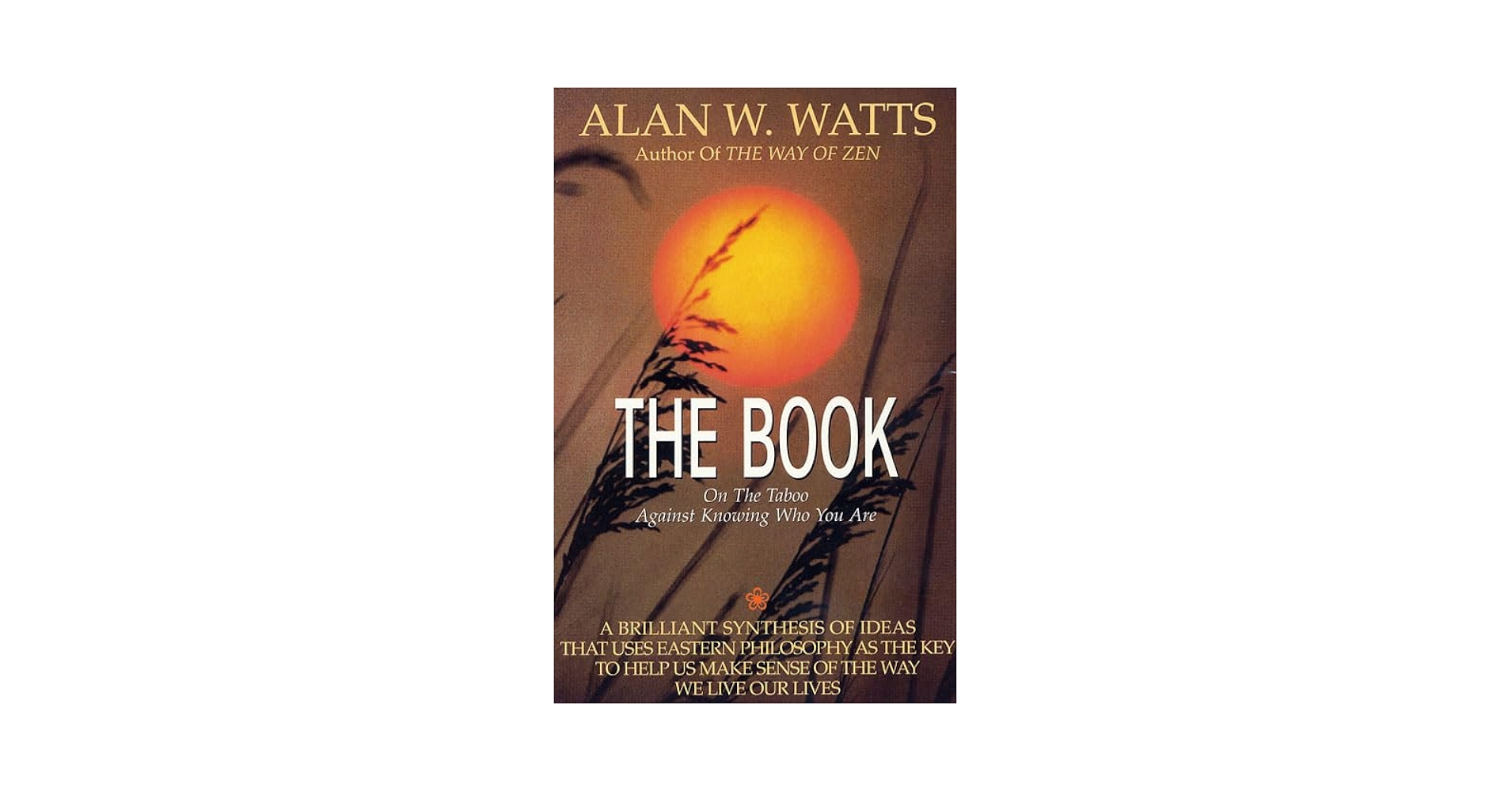 Amazon.com: The Book: On the Taboo Against Knowing Who You