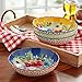 The Pioneer Woman Melody 7.5-Inch Pasta Bowls, Set of 4