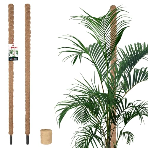 KOTARBAU® 2 x Tuteur Plante Intérieur Coco | Tuteurs Monstera ⌀ 3,2 x 180 cm 2 Pièces + Ficelle Offerte