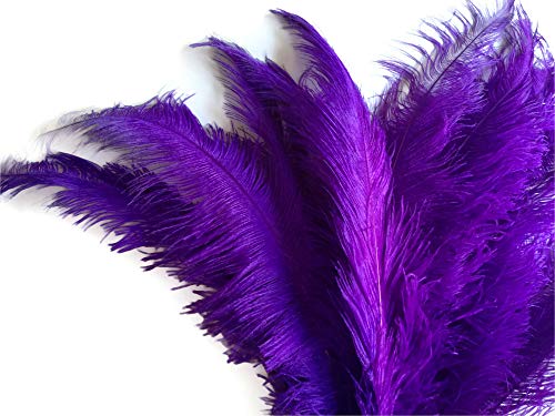 10 Pieces - 20-28" Purple Ostrich Spads Large Wing Feathers Costume Party Supplier | Moonlight Feather #TOP1