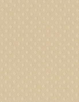 Bazzill Sandbox Dotted SWIS Card 8.5