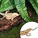 Abeillo 2Pcs Crested Gecko Feeding Spoon, Stainless Steels Reptile Spoon, 7.6 Inch Long Handle Crested Food Feeding Spoon for Gecko Lizard Gargoyle Bearded and Other Small Animals