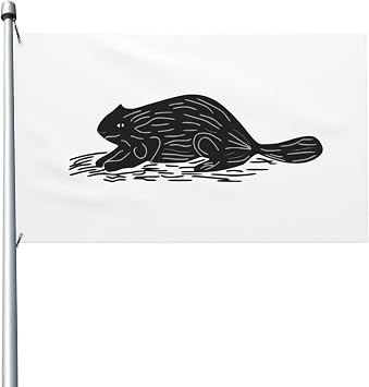 Naval ensign of New York 1775 Flag 3x5 Ft Outdoor Flags Banner Double-Sided Decorative Flag Durable Polyester Home Yard Funny Flags