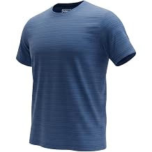 Mens Activewear T-Shirt, Striped, Moisture Wicking Performance Wear, Lightweight Workout Gym,Running Tee
