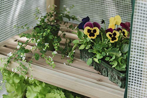 Gardman Premium 4-Wooden-Tier Greenhouse R08898 With Reinforced Polyethylene Cover. Dimensions: 19" X 24" X 63" Inches (Lxwxh), Green #TOP5