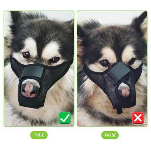FWLWTWSS Maulkorb für Kleine, Mittlere und Große Hunde - Atmungsaktiv, Verstellbar mit Klettverschluss, Giftköder-Schutz - Ermöglicht Hecheln und Trinken