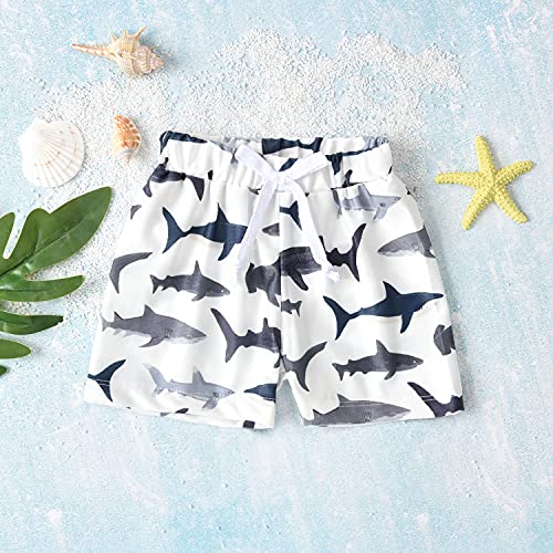 Baby Swim Trunks, Toddler Infant Swimsuit Shark Bathing Suit Beach Swimming Shorts (Shark, 0-6 Months) #TOP1