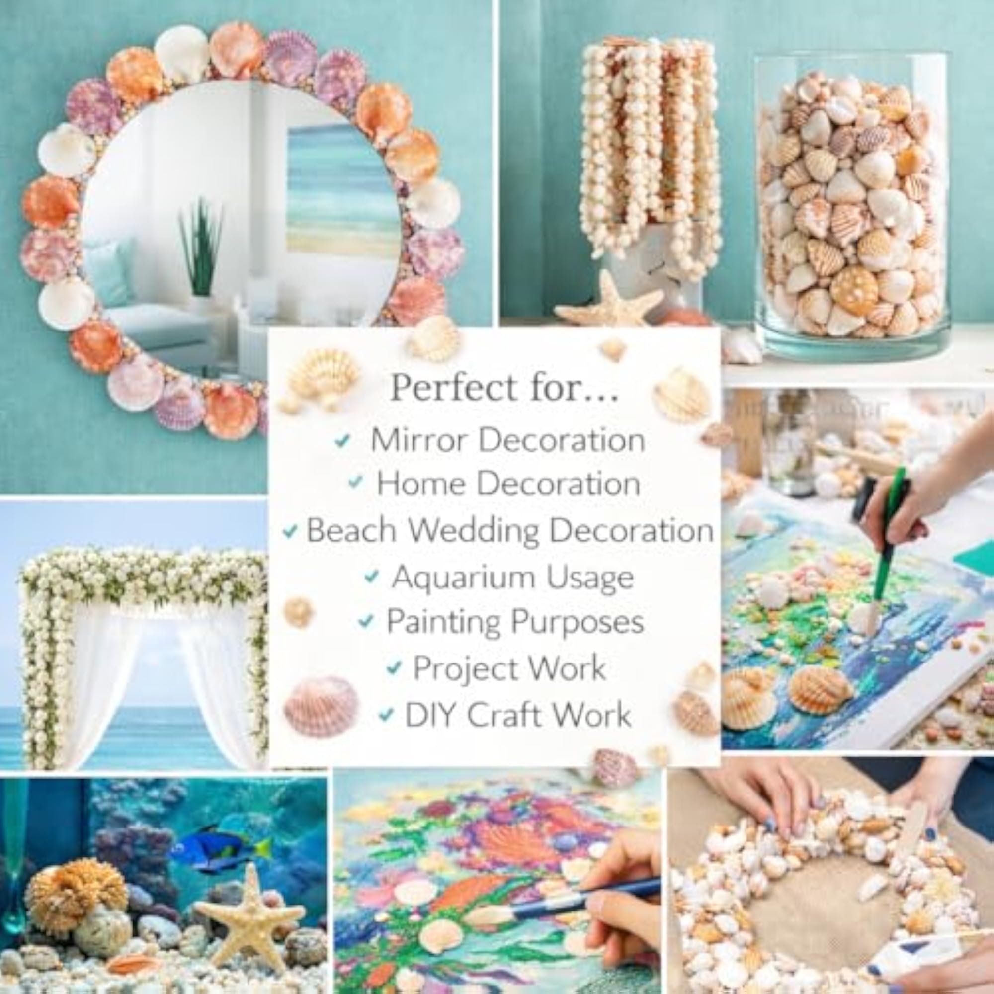 375+ pcs Natural Mixed Seashell Collection for Decor