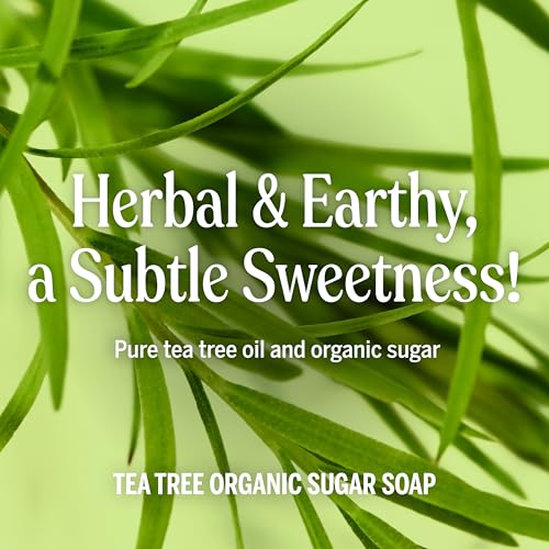 image for Dr. Bronner's - Organic Sugar Soap (Tea Tree, 24 Ounce) - Made with Or
