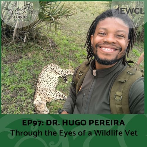 『Through the Eyes of a Wildlife Vet with Dr. Hugo Pereira, Ep. 97』のカバーアート