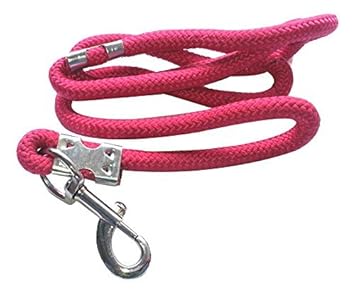 Pet Believe Smart Doggie Chain Nylon Rope for Medium Dog - Pink