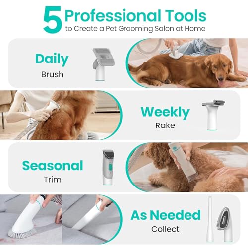 Neakasa P1 Pro Hundeschermaschine mit Staubsauger, leise Schermaschine Hund Katze, Profi Haustierpflegeset, Tierhaarschneidemaschine, elektrische Hundetrimmer mit 5 bewährten Pflegewerkzeugen