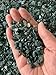 Moss Agate Chips – Natural Mini Moss Agate Stones, Crushed Undrilled Moss Agate, Semi-Tumbled Genuine Moss Agate (1/8 lb)