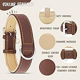 Riparo Echtes Leder Verstellbares Hundehalsband mit Zusätzlicher Verstärkung (L: 3,8CM Breit für 43,2CM - 53,3CM Hals, Braun)