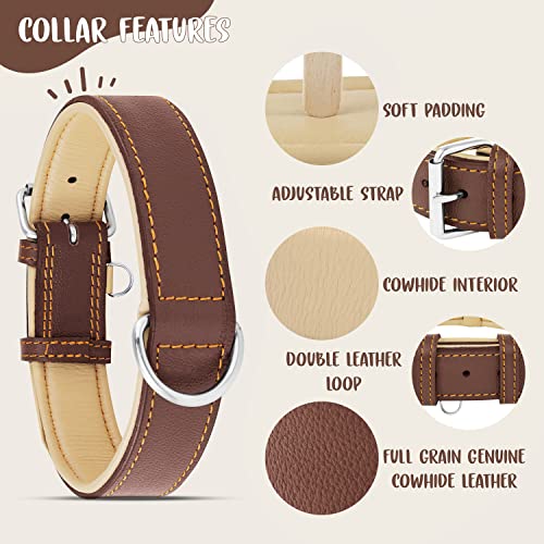 Riparo Echtes Leder Verstellbares Hundehalsband mit Zusätzlicher Verstärkung (L: 3,8CM Breit für 43,2CM - 53,3CM Hals, Braun)