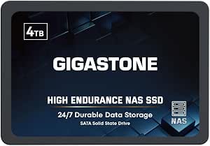 Gigastone 4TB High Endurance SATA SSD