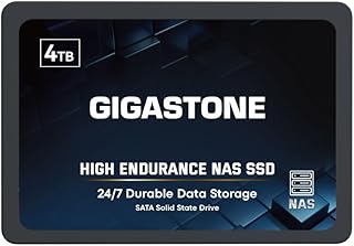 Gigastone Certified NAS 4TB NAS SSD Disk 24/7 Durable High Endurance Raid Secure Sync Data Cache Network Storage 2.5 Inch SATA Internal SSD Hard Drive