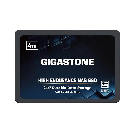 Gigastone 4TB NAS SSD Drive 24/7 Durable High Endurance RAID Data Storage Network Attached Storage 2.5" SATA Internal Solid State Hard Drives