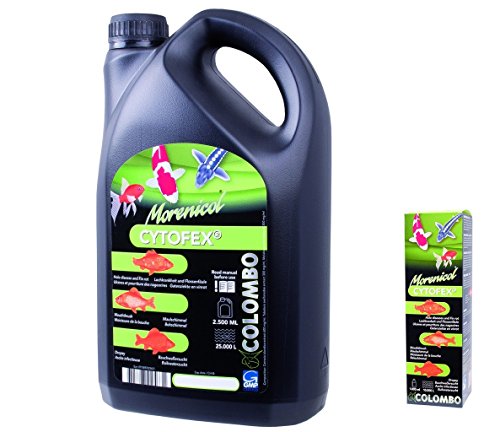 Colombo 60320/2993 Koi Teichmedizin Morenicol Cytofex - 250ml für...