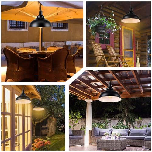 Hängelampe mit Stecker, Dimmbar Vintage Pendelleuchte mit 4.5m Kabel und Dimmer Schalter, E27 Lampefassung Schwarz Metall Hängeleuchte für Outdoor & Innen Küche Garten Balkon Terrasse, Ø 26CM