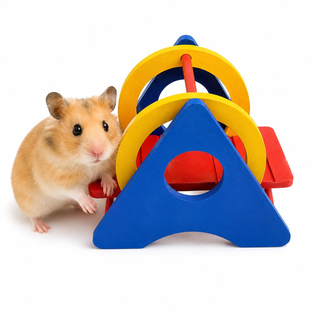Wooden Rocker Rainbow Swing Rat Hamster Climbing Play Chewing Wooden and Accessories for Small Animals-image-27
