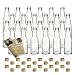 Produktbild gouveo 24er Set Glasflasche 200 ml mit Kropfhals & Schraubverschluss goldfarben - Kleine Flaschen für Likör, Schnaps, Saft, Essig und Öl - Flaschen-Set mit Rezepten