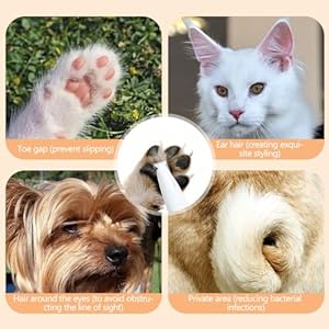 Pet MicroPrecision Trimmer, 2024 Upgrade Multifunctional Pet Hair Clippers Waterproof Rechargeable Pet Shaver with LED Light, Pet Paw Trimmer for Paws Eyes Ears Face Rump (1PC), White Pet MicroPrecision Trimmer 2024 Upgrade Multifunctional Pet Hair Clippers Waterproof Rechargeable Pet Shaver with LED Light Pet Paw Trimmer for Paws Eyes Ears Face Rump 1PC White