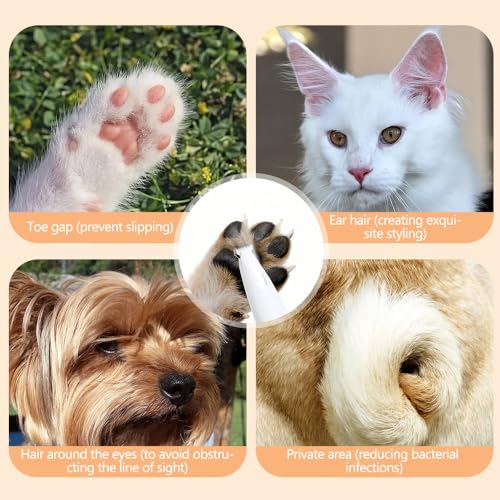 Pet-MicroPrecision-Trimmer-2024-Upgrade-Multifunctional-Pet-Hair-Clippers-Waterproof-Rechargeable-Pet-Shaver-with-LED-Light-Pet-Paw-Trimmer-for-Paws-Eyes-Ears-Face-Rump-1PC-White Pet MicroPrecision Trimmer 2024 Upgrade Multifunctional Pet Hair Clippers Waterproof Rechargeable Pet Shaver with LED Light Pet Paw Trimmer for Paws Eyes Ears Face Rump 1PC White