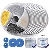 BYEWIRE Filters for 2.6L Transparent Cat Water Fountain, 8-Pack Filters and 2-Pack Sponge Filters,Cat Water Fountain…