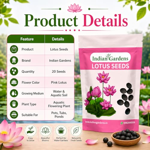Image of Indian Gardens - Lotus Seeds for Planting | Premium Quality Lotus Flower Seeds | Suitable for Water Gardens, Containers, Ponds & Home Gardening