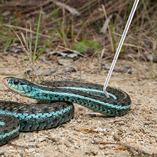Collapsible Snake Hook Stainless Steel Extensible Snake Catcher Capture Hook For Catching Handling Grabber Separate Small Pet Snake #TOP4