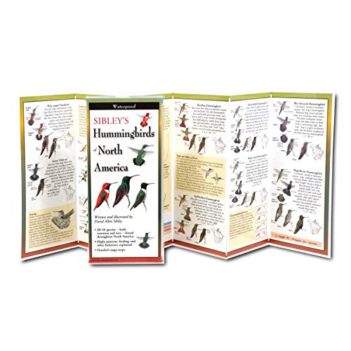 Earth Sky + Water FoldingGuide - Sibley's Hummingbirds of North America - 10 Panel Foldable Laminated Nature Identification Guide