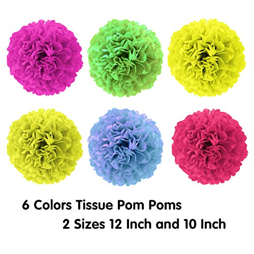 Joyin 27 Pcs Mexican Fiesta Party Decoration Supplies With Cactus Avocado Balloons, Tissue Pom Paper Flowers, Pennants, Garland, Backdrop Banner For Cinco De Mayo Birthday Baby Shower Supplies, Mexican Theme Fiesta Party #TOP2