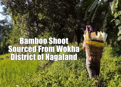 Laajawab Naga Dry Bamboo Shoot with Authentic Dried Bamboo Shoots from Nagaland; use in Pork, Chicken and Traditional Dishes; Pure & Natural, 65g