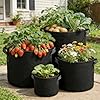 COKIELE 5 Pack 5 Gallon Grow Bags, Thickened Aeration Nonwoven Fabric Plant Pots with Handles, Heavy Duty 300G Garden Planting Bag for Tomato, Potato, Strawberry, Vegetable, Fruits and Flowers #2