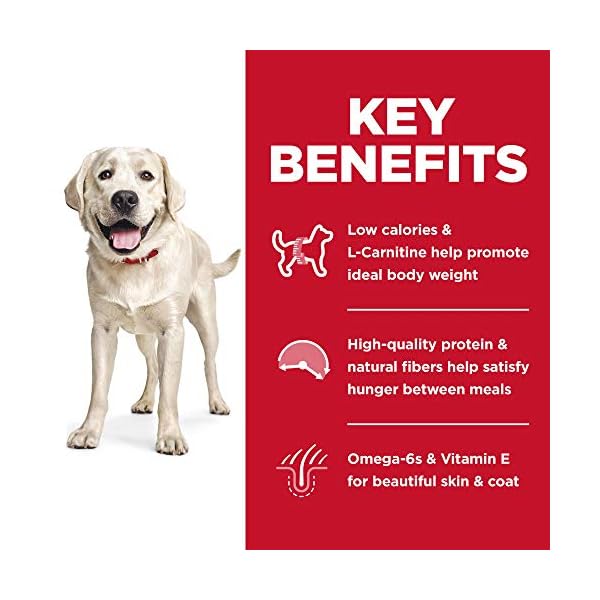 Hill’s Science Diet Adult Light Large Breed Dry Dog Food, Chicken Meal & Barley, 30 lb Bag Hill’s Science Diet Adult Light Large Breed Dry Dog Food, Chicken Meal & Barley, 30 lb Bag